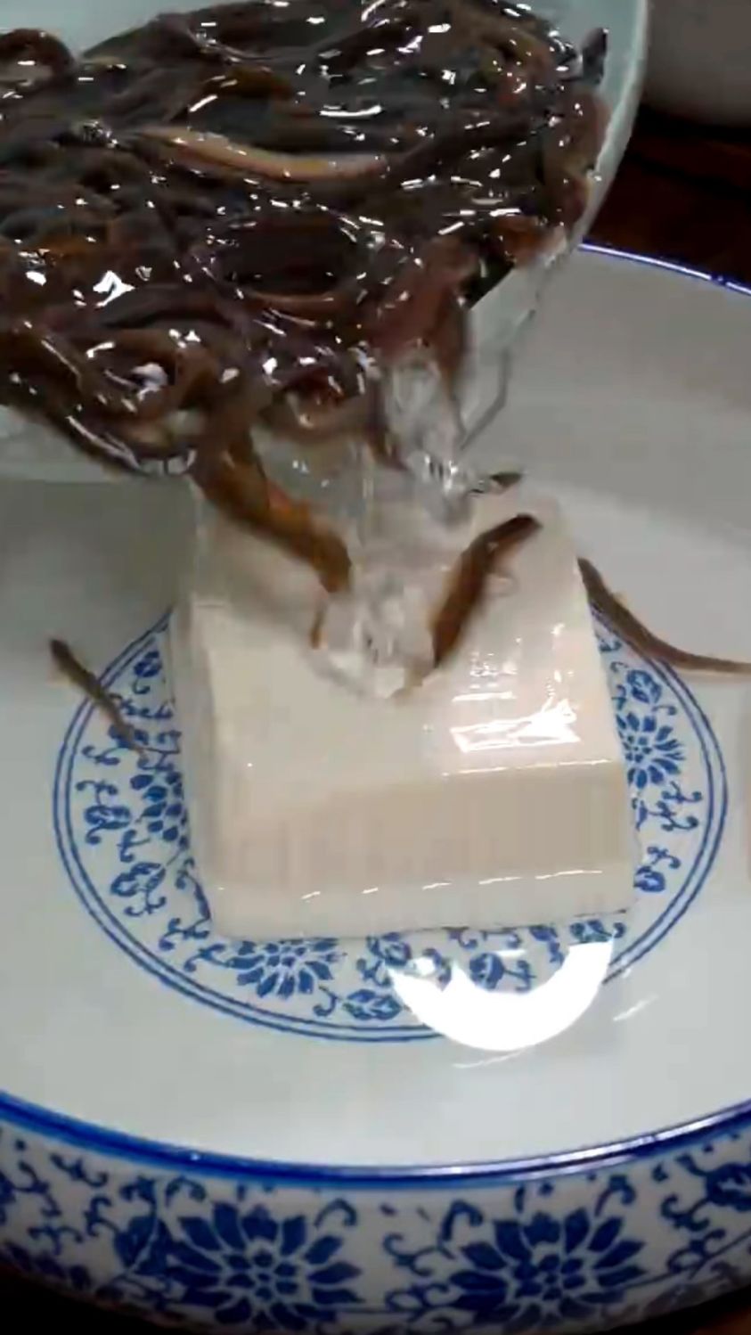 泥鳅豆腐汤鲜甜好喝