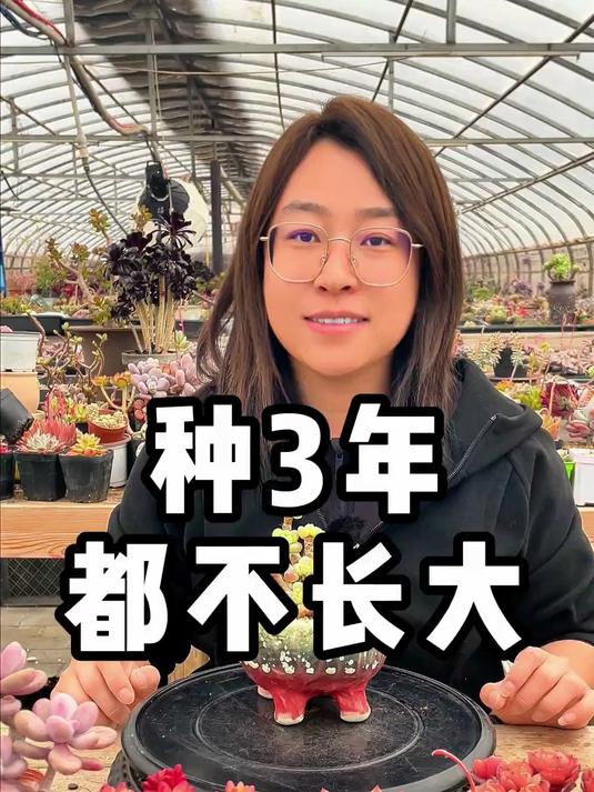 多肉长不大，有可能是根的问题，或者土的问题，及时检查