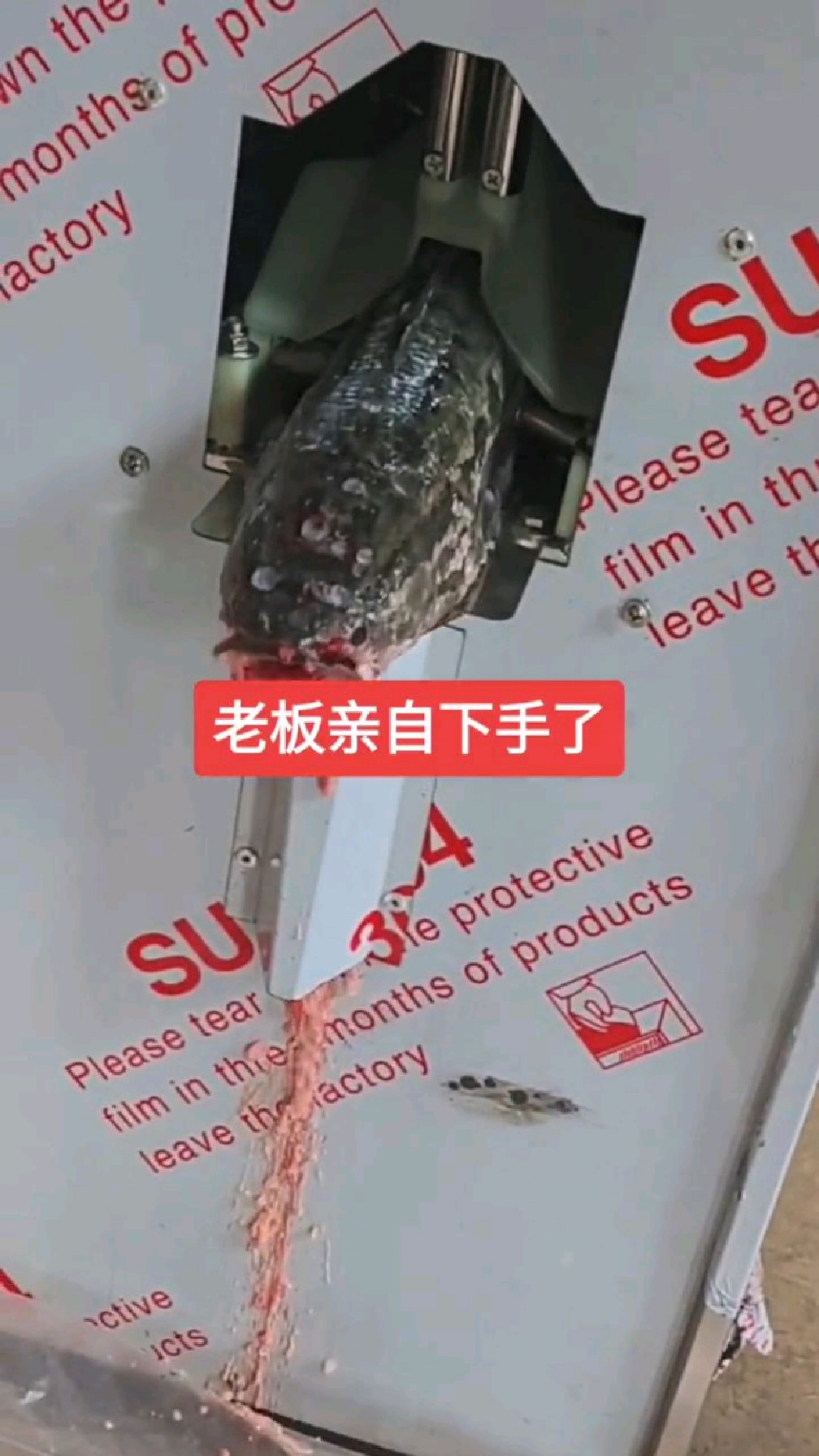 全自动杀鱼机 切片机