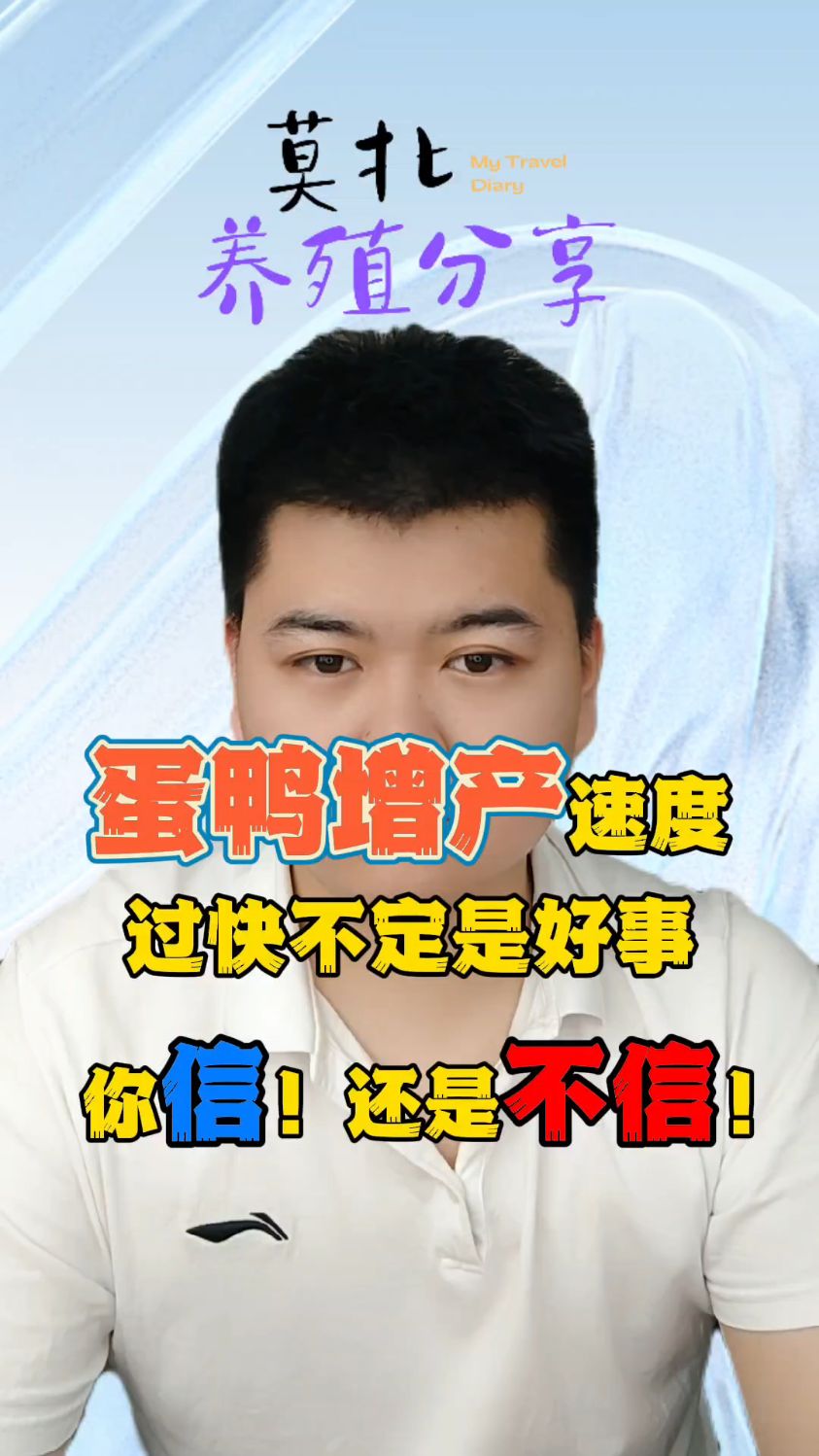 怎样养蛋鸭才能高产蛋蛋鸭怎么样提高产蛋量产蛋鸭吃什么产蛋多鸭子怎样喂才会产蛋多