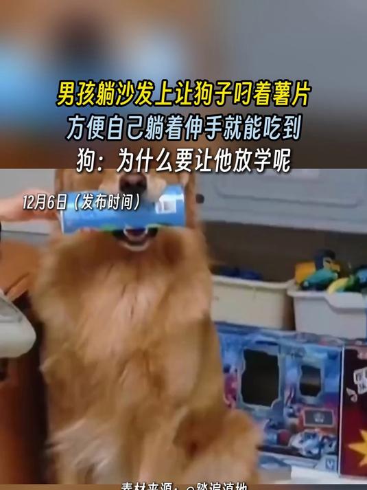 男孩躺沙发上让狗子叼着薯片,方便自己躺着 伸手就能吃到