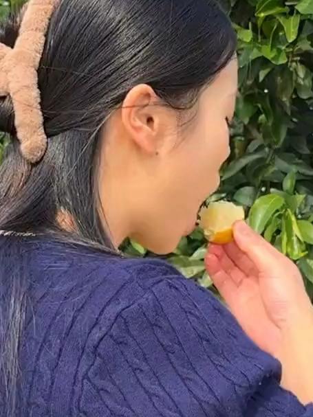 又到了吃金桔的季节这是广西特产纯甜的脆皮金桔这个是纯甜冰糖心