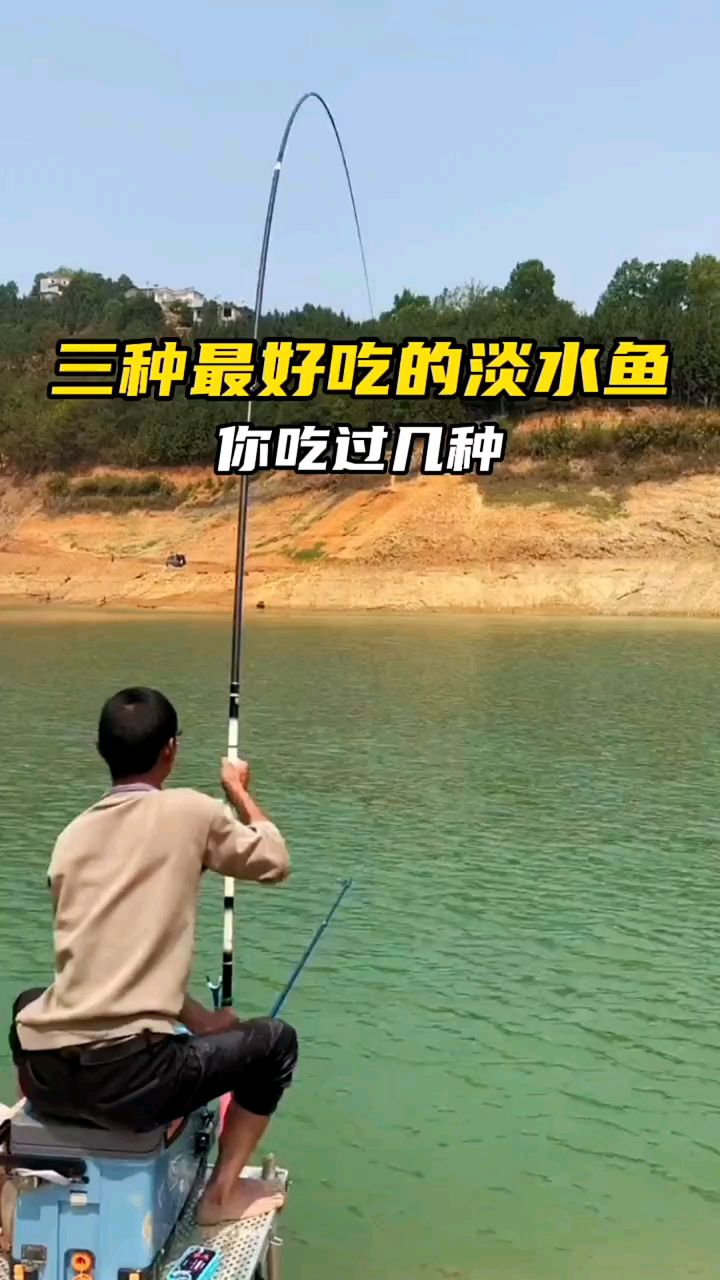 三种最好吃的淡水鱼,你吃过几种?