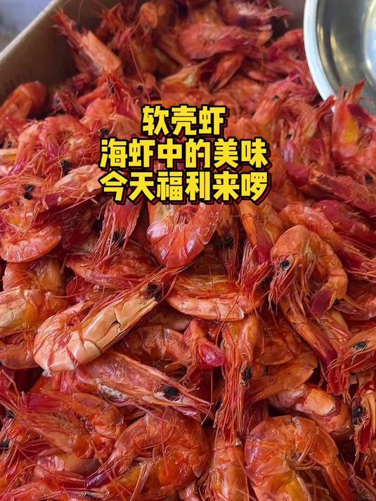 斑节虾～软壳薄壳 九节虾 海虾 虾干