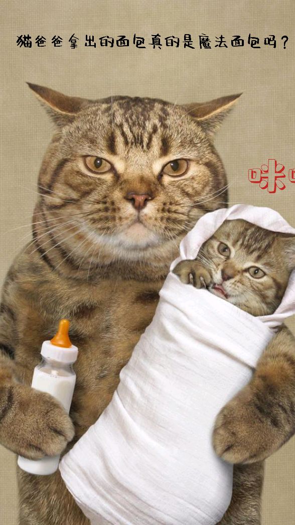 猫爸爸拿出的面包真的是魔法面包吗?