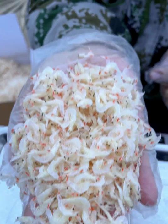 用虾皮做馅料,饺子包子都有了大海的灵魂