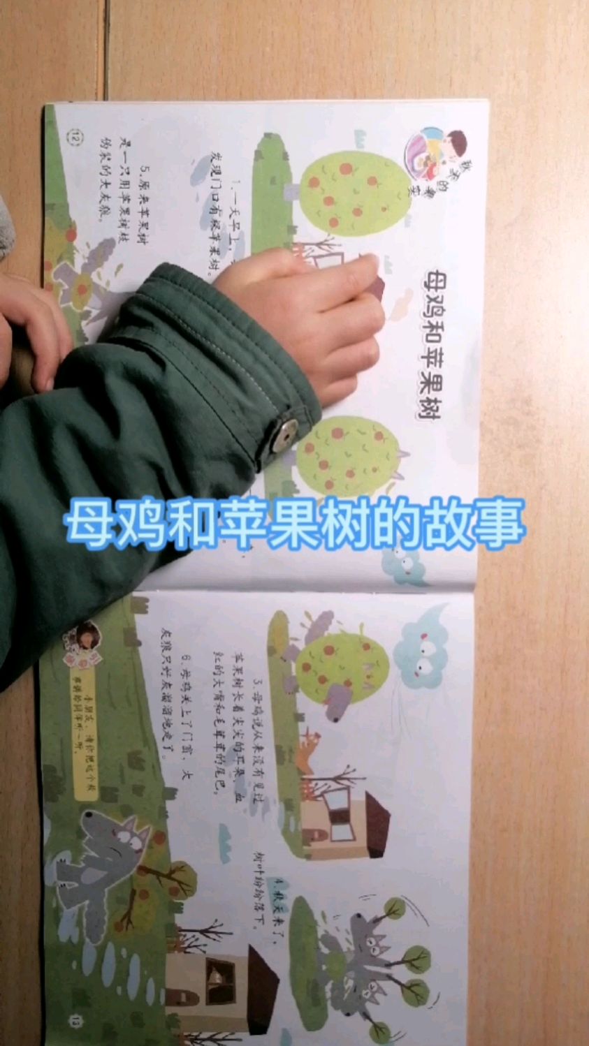 小哥哥讲《母鸡和苹果树的故事》
