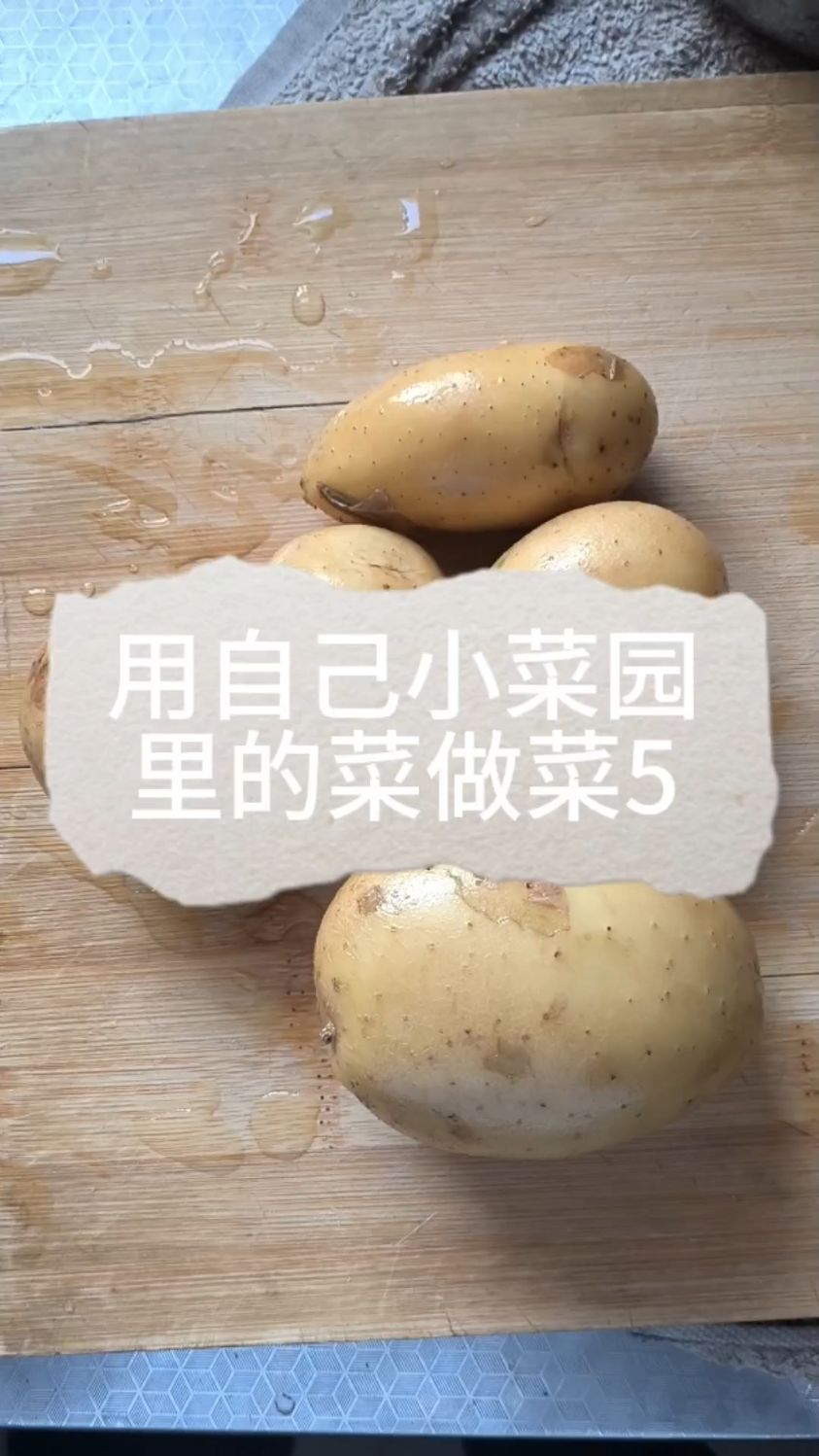 小菜园之土豆咖喱鸡块盖饭