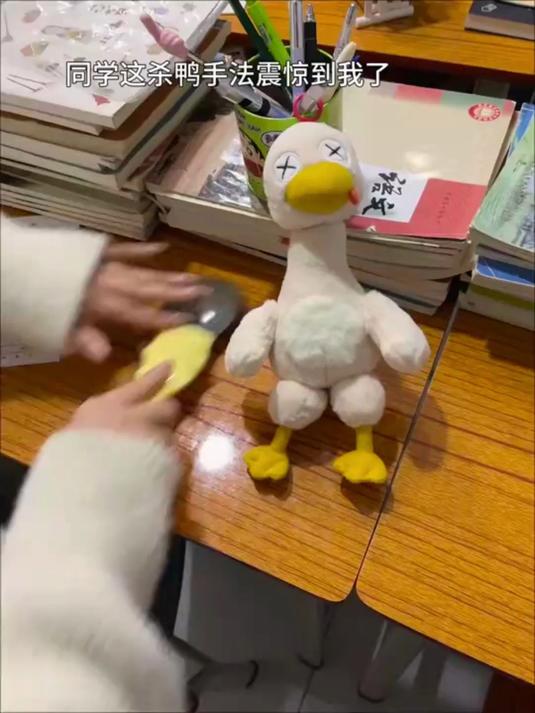 网红磁吸盐水鸭，拆分创意搞怪，纪念礼物超吸睛