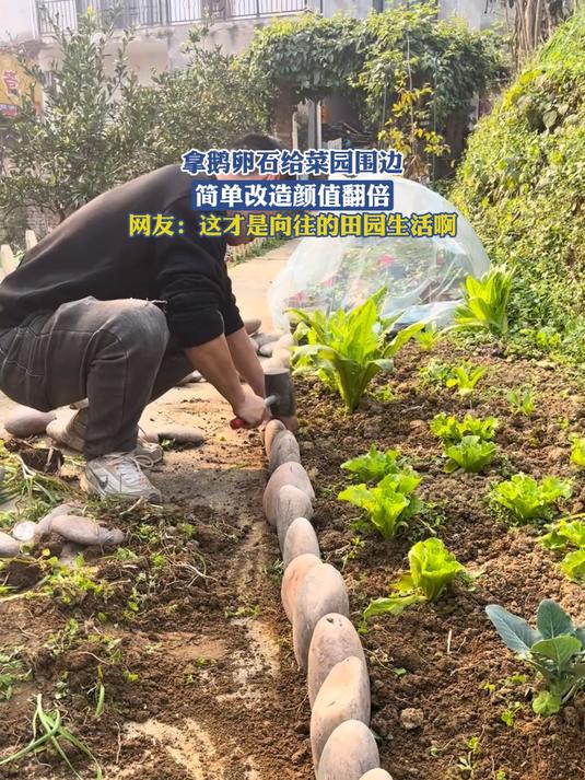 拿鹅卵石给菜园围边，简单改造颜值翻倍，网友：这才是向往的田园生活啊
