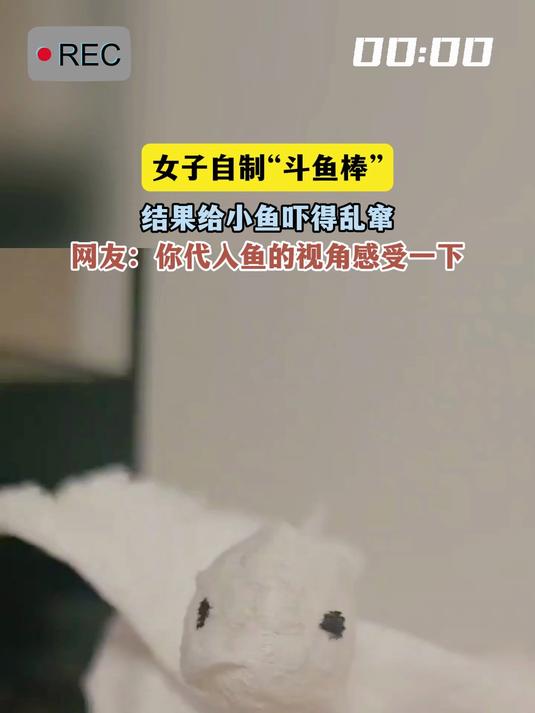 女子自制“斗鱼棒”,结果给小鱼吓得乱窜,网友:你代入鱼的视角感受一下