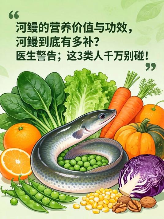 河鳗的营养价值与功效,河鳗到底有多补?医生警告:这3类人千万别碰!