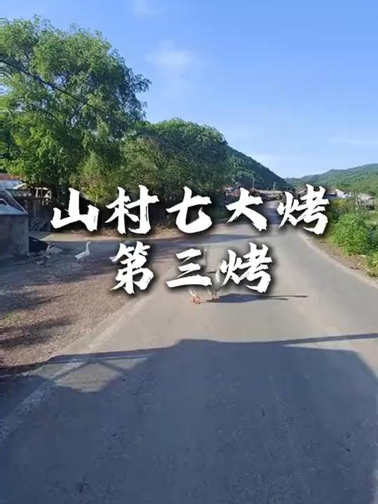 山村七大烤之秋核桃烤羊肉,小味那是相当哇塞