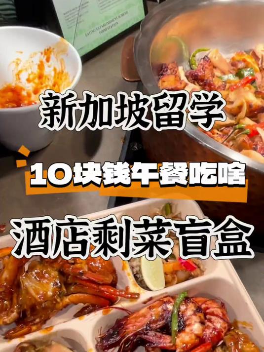 新加坡留学午餐10块钱海鲜自助|酒店剩菜盲盒