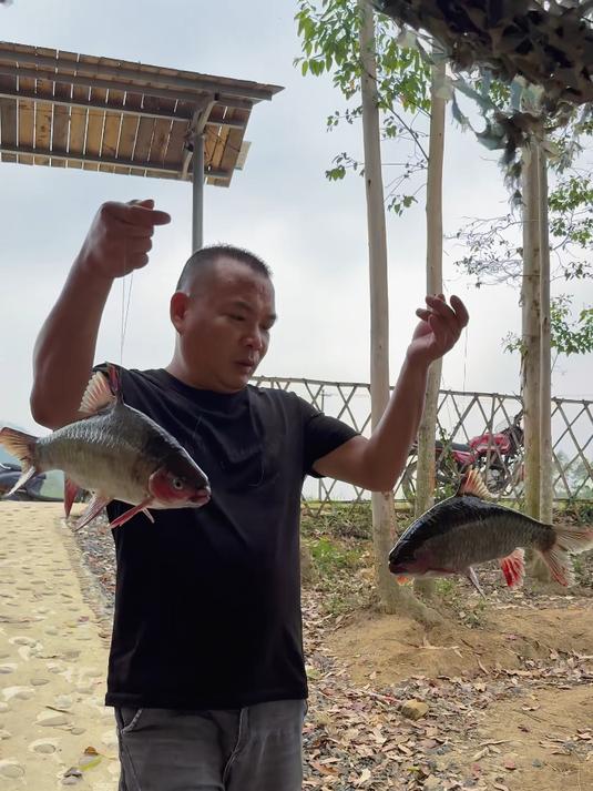 广西的酒桌上什么能少得了鱼生呢 今天就来做一道青竹鲤鱼生