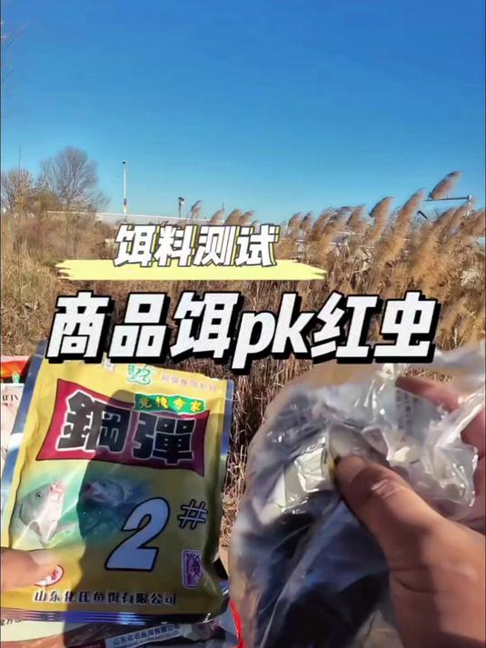 冬季野钓饵料谁才是真正的鲫鱼之王！
