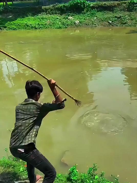 男子手拿鱼叉发现水里有个非常奇怪的生物,随即便将鱼叉刺入水中