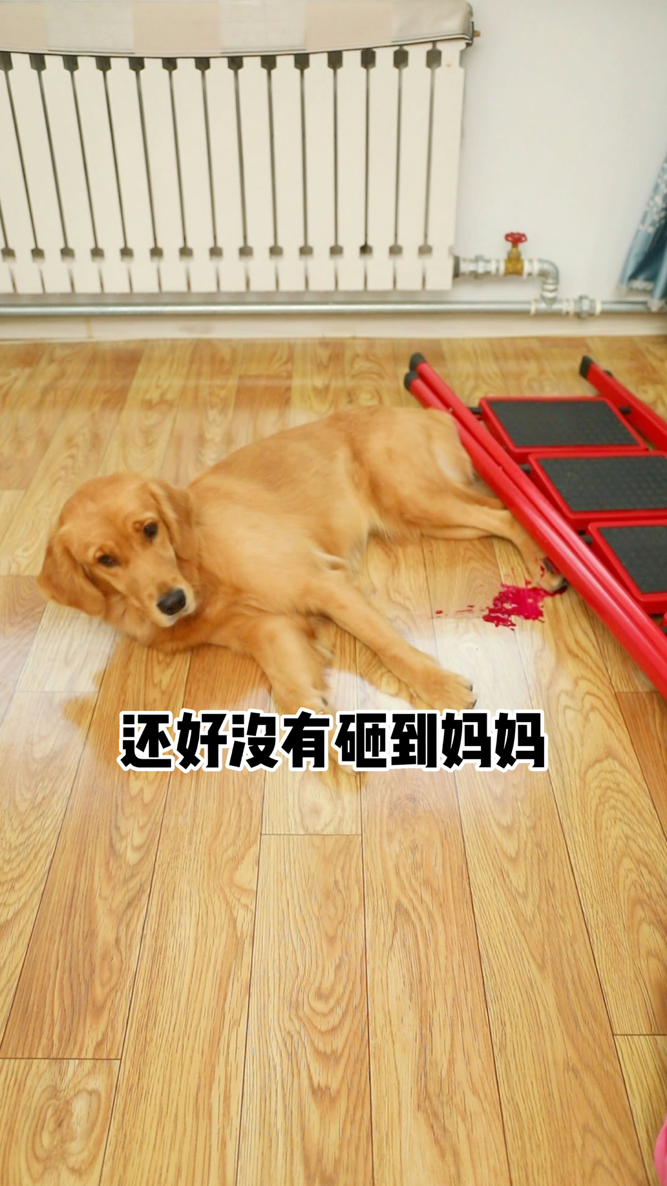 奶茶被coco陷害