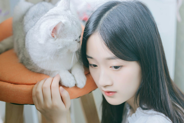 图片[11]-少女和猫-六色网