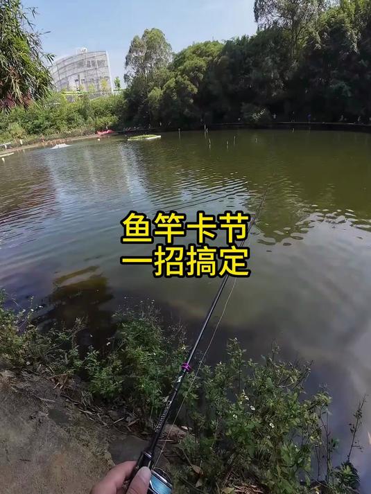鱼竿卡死别硬掰!老钓友教你一招搞定