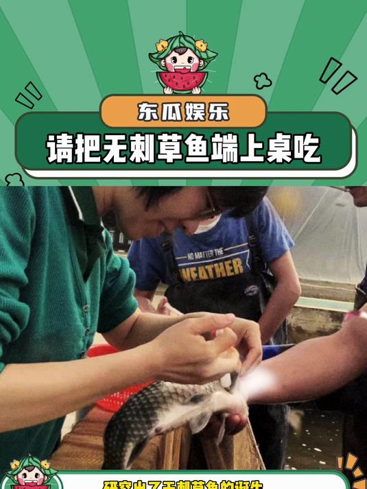 无刺草鱼上桌的那天 我愿称为“酸菜鱼之神”