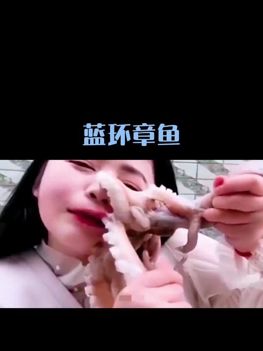 蓝环章鱼是最毒的生物之一!如果遇到它应该怎么办?