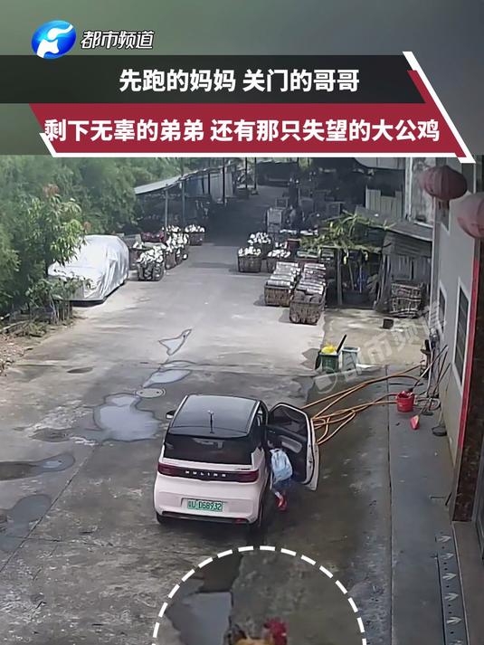 先跑的妈妈，关门的哥哥，剩下无辜的弟弟，还有那只失望的大公鸡