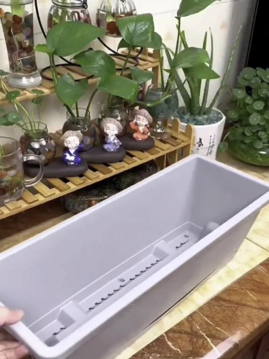长条型种菜种花塑料盆,结实耐用,想要在家种菜种花的就选它