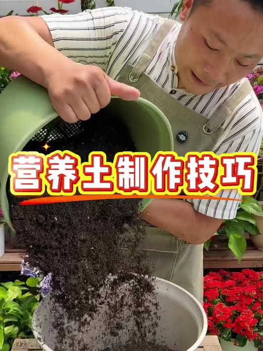 自制营养土配方大全,比买的还好用