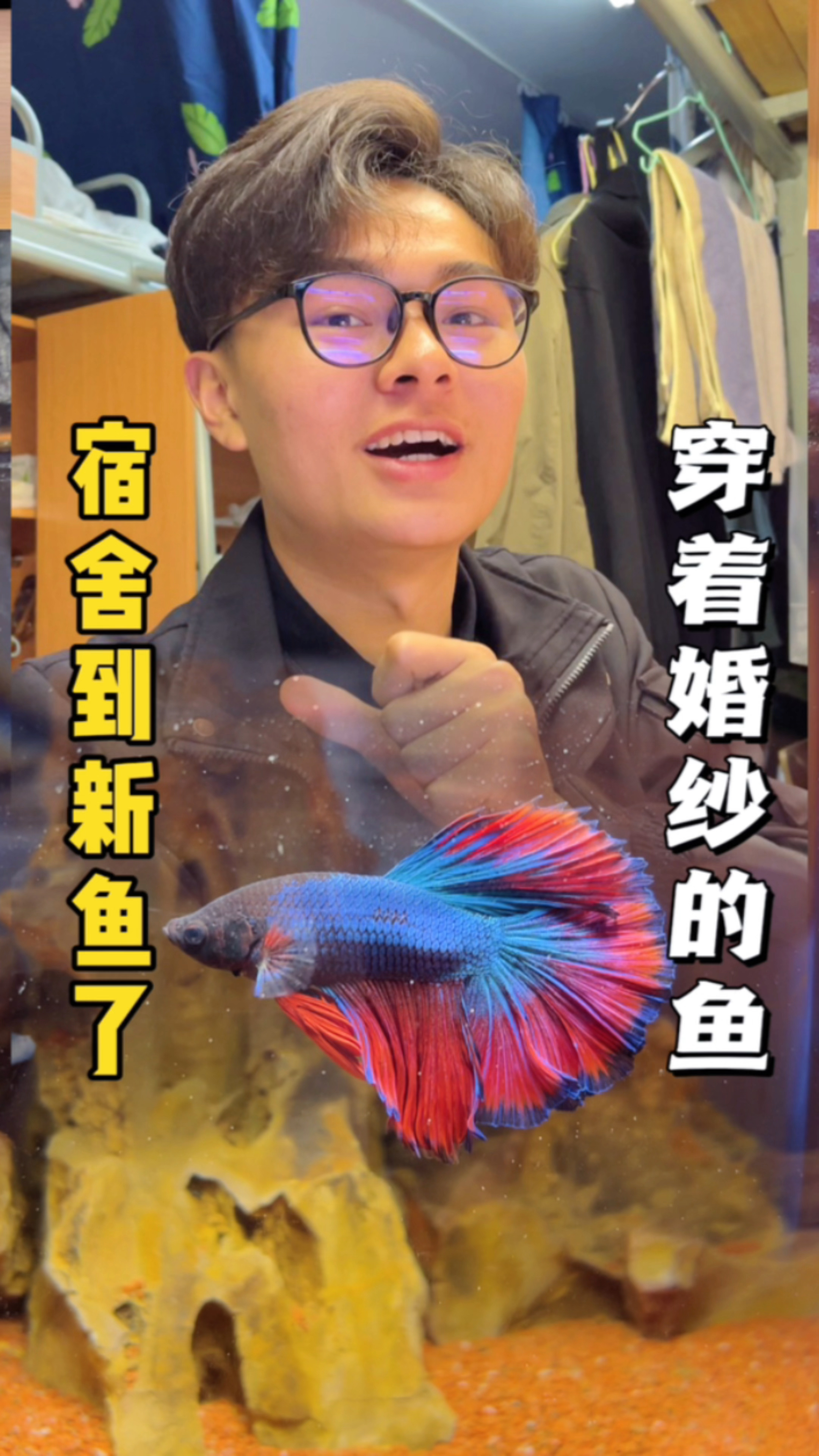 穿着婚纱的鱼真的太美了