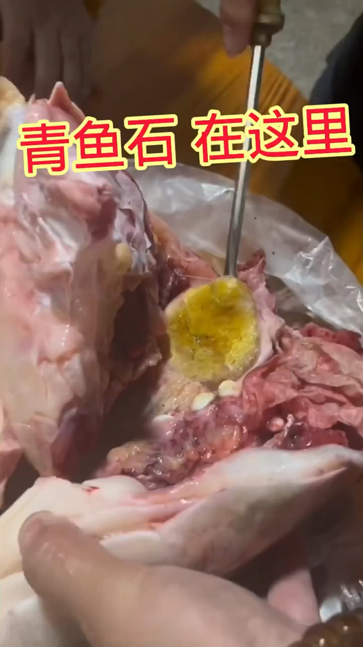 青鱼石、有着活玉之称、形似琥珀蜜蜡、可盘玩佩戴，非常漂亮