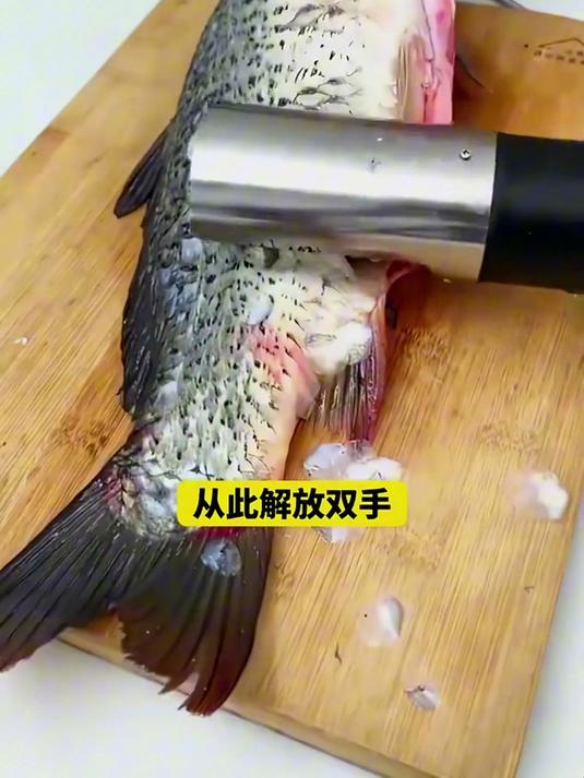 电动刮鱼鳞神器商用鱼鳞刨刮鳞器杀鱼机全自动打鳞去鳞神器工具刀#甄选好物##厨房好物#