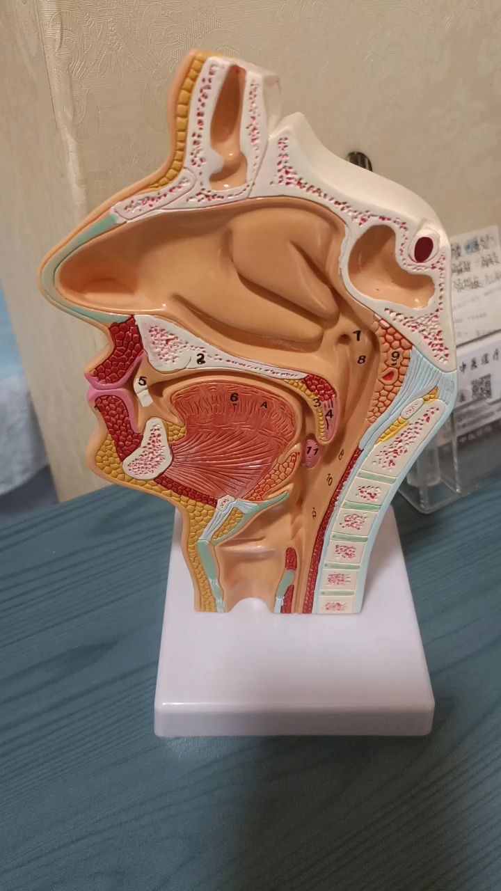 鼻炎鼻子不通气怎么办