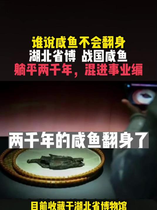 谁说咸鱼不会翻身!战国咸鱼躺平两千年,混进事业编
