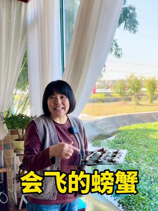 童年的蟹蝴蝶,今天带你们一起飞!