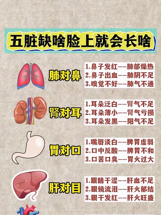 居家食补养生课,跟着老师学食疗,调五脏、养气血别错过!