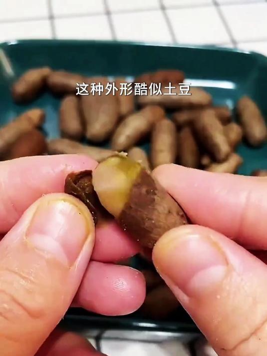 外形酷似小土豆的山药豆你吃过吗?它的营养价值非常高,健脾养胃