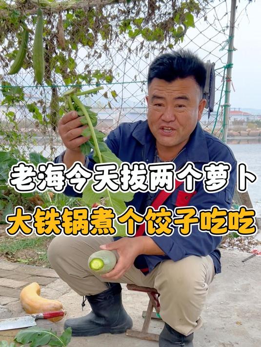 今天老海拔两个萝卜包个饺子吃,大铁锅煮的大馅饺子像小包子一样