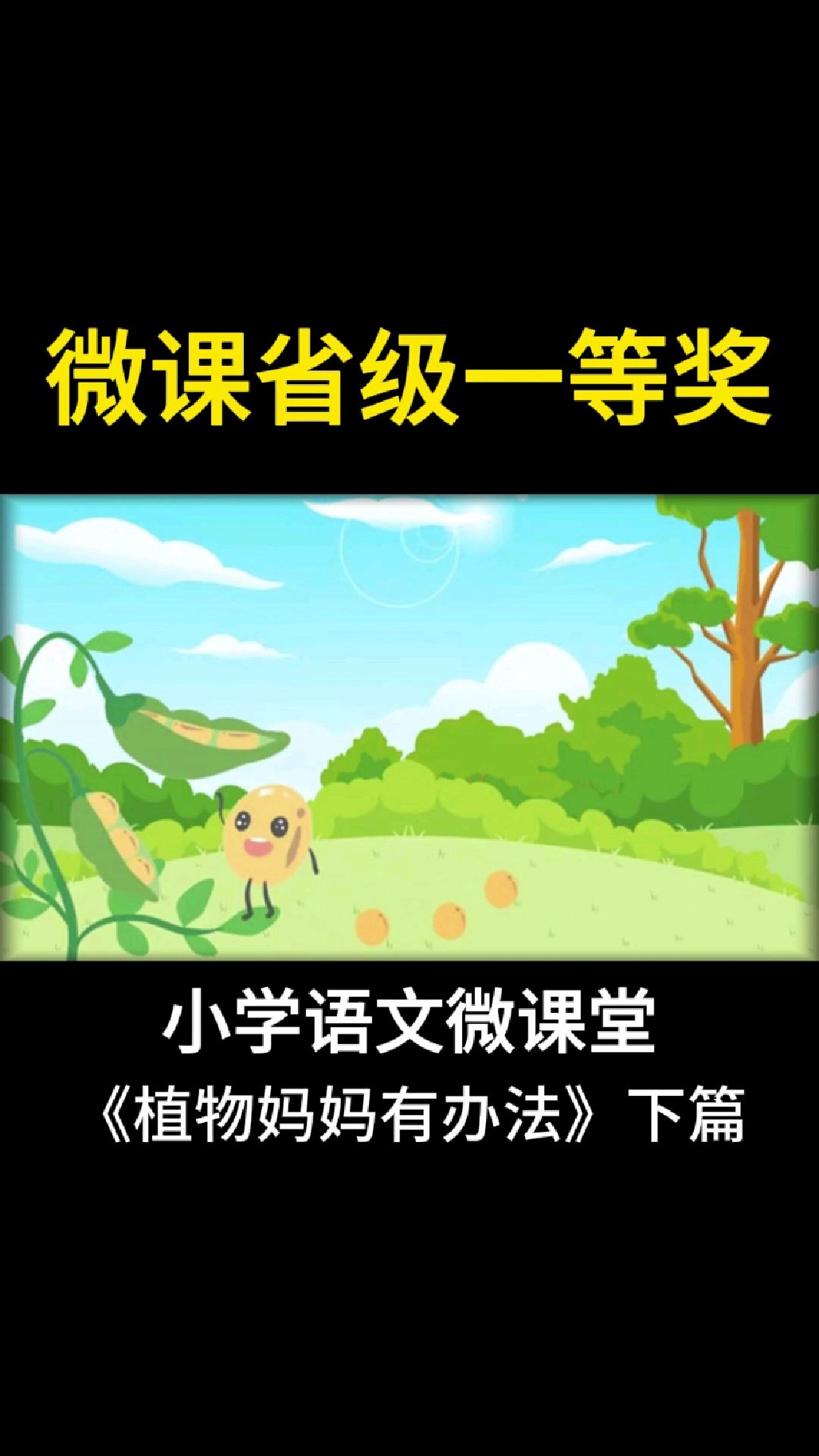 微课比赛省级一等奖,小学二年级语文动画微课《植物妈妈有办法》下篇 语文获奖微课