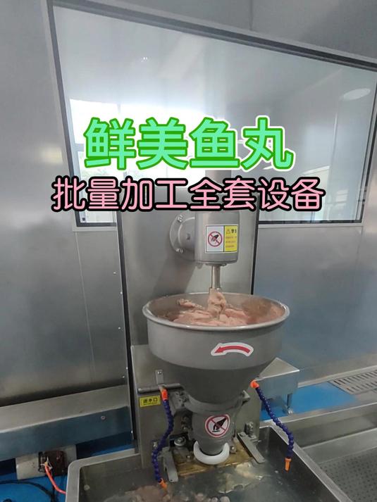 鲜美鱼丸加工流程和全套设备