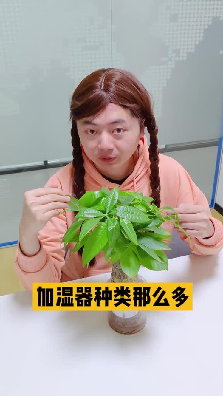 今天说说加湿器,冷蒸发、超声波、热蒸发你pick哪个?