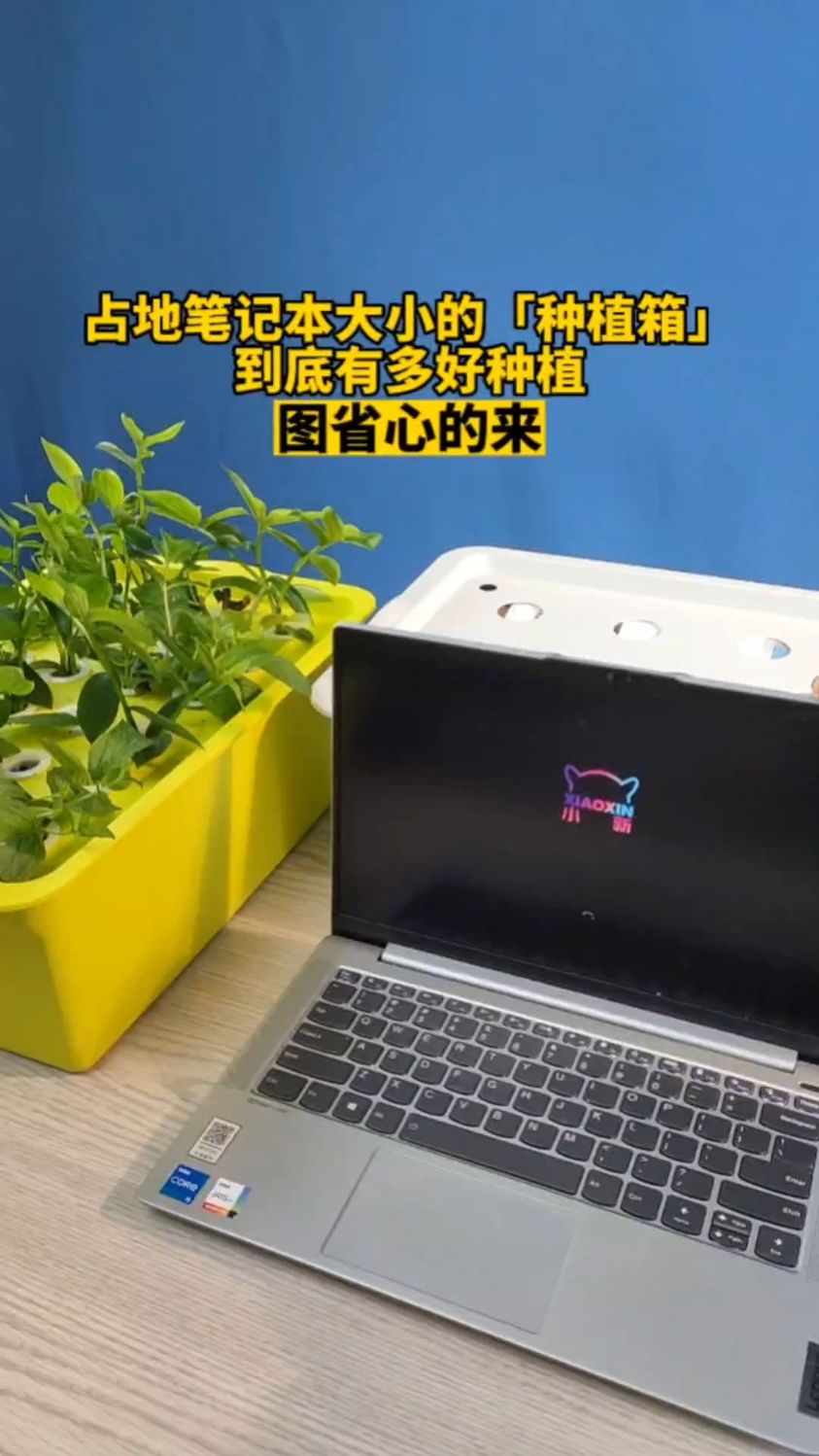 就这么一点点大小的种植箱,居然在家就能种瓜果蔬菜