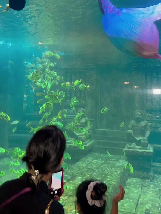 美人鱼潜水
