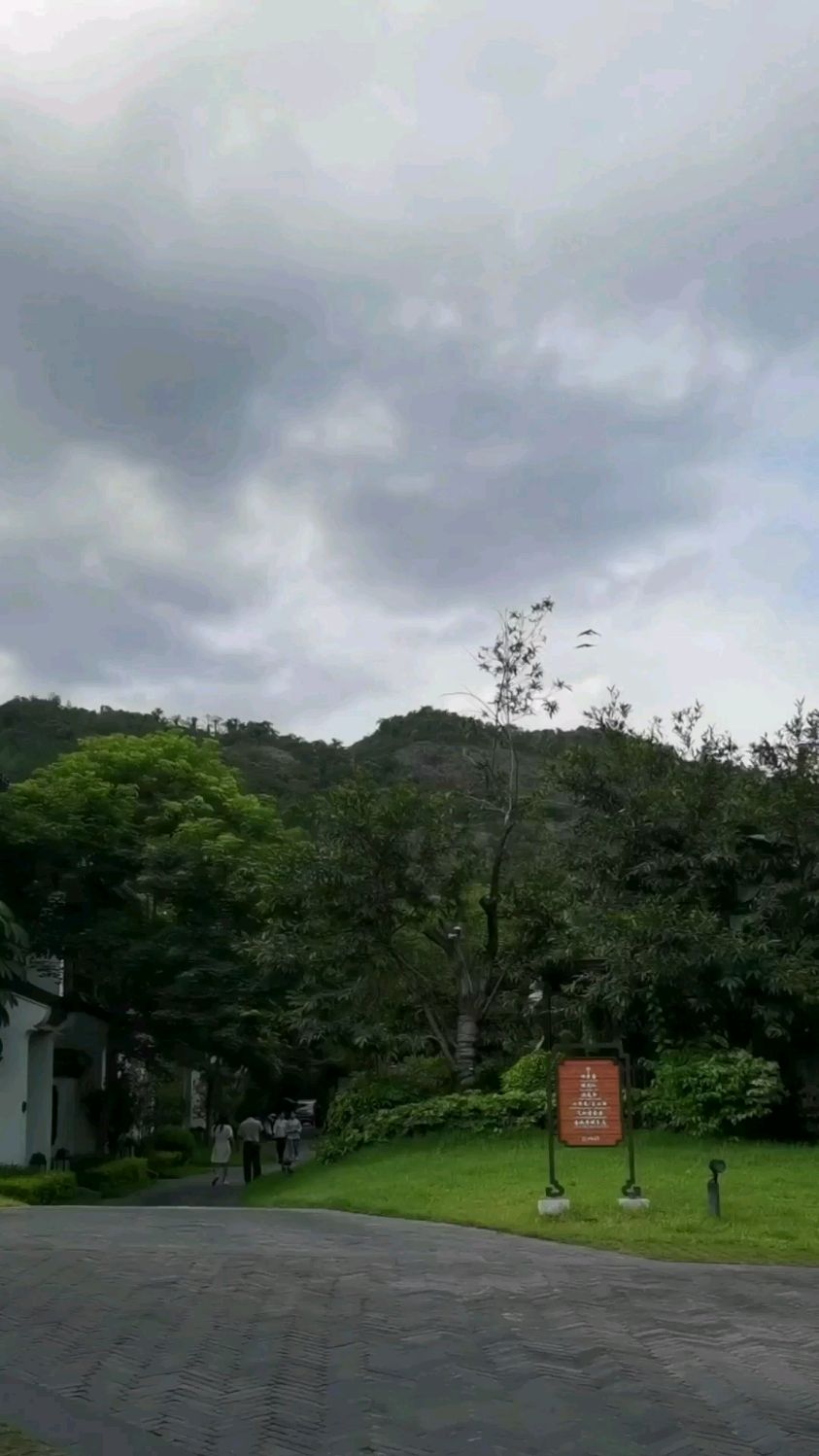 七夕节日快乐