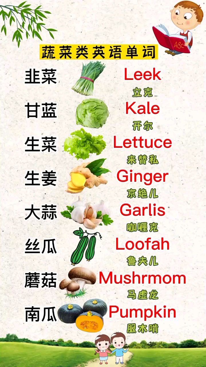 蔬菜类英语基本单词