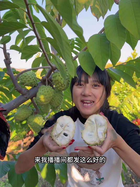比甘蔗还甜的水果你吃过吗?乳白色果肉,一口下去直接爱上