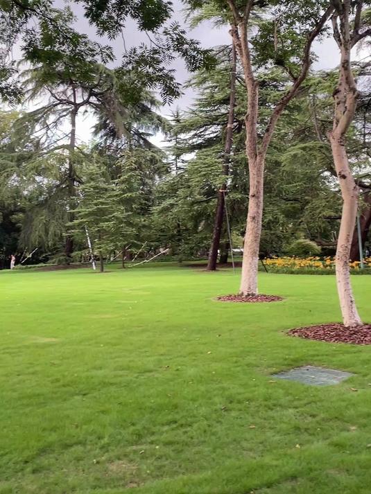 秋天中的杭州花港观鱼,真的是碧绿无限,一眼爱上!