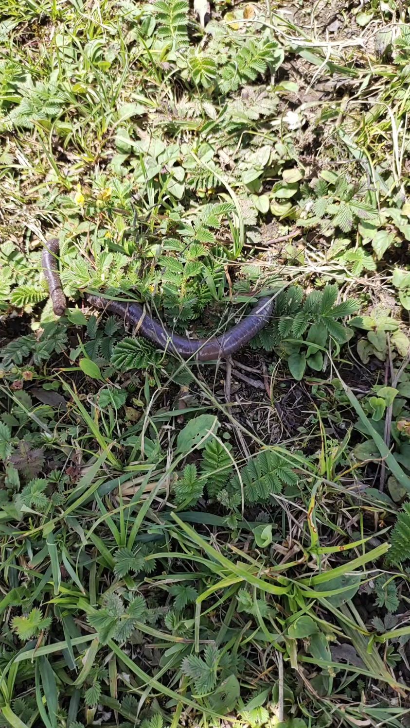 老祖宗传下来的,民间小知识宝贵,我们不可轻视