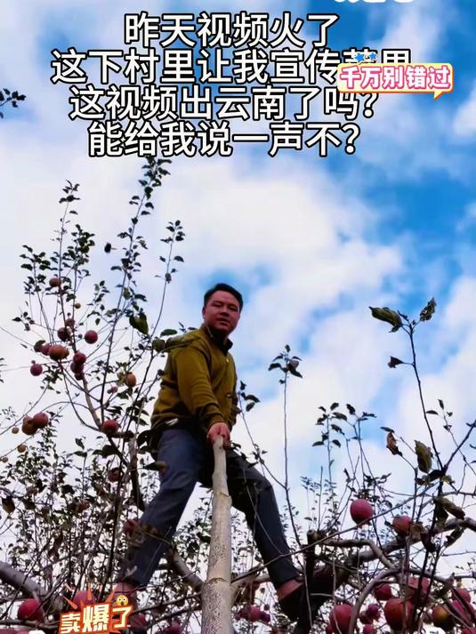 脆甜多汁！大凉山糖心丑苹果，一口咬下满嘴香！