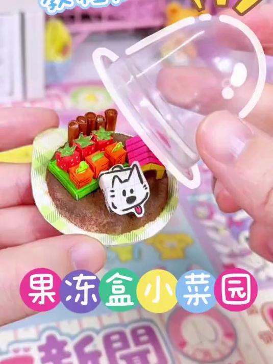 自制果冻盒小菜园教程版